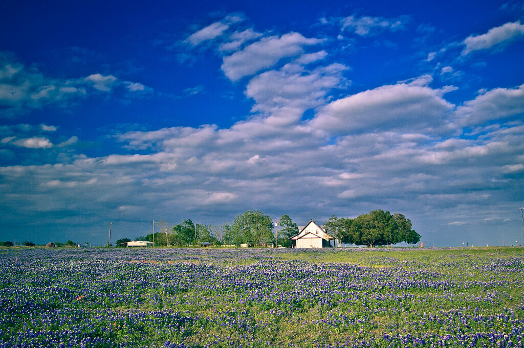 little-house-clouds-bluebonnet-field-sunset-pflugerville-texas-100410-p-8872472