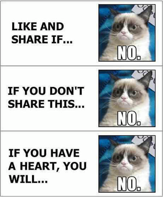 grumpy-cat-like-and-share-funny-pictures1-6948430